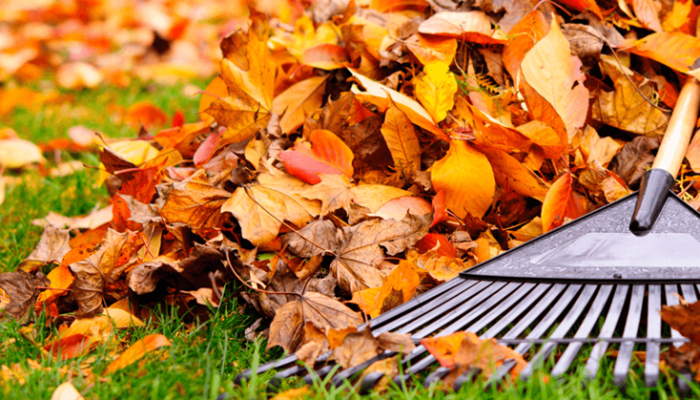5 tareas que realizar en el jardín cuando llega el otoño